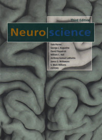 Neuroscience