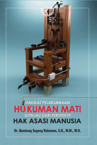 Hakikat pelaksanaan hukuman mati ditinjau dari perspektif hak asasi manusia