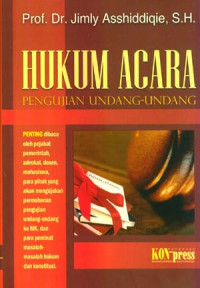 Hukum acara pengujian undang-undang