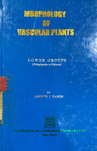 Morphology of vascular plants