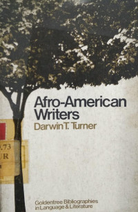 Afro-american writers