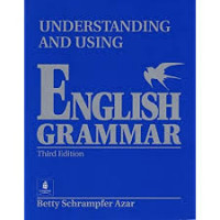 Understanding and using english grammar (third edition)