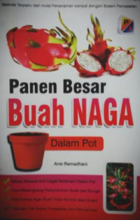 Panen besar buah naga dalam pot