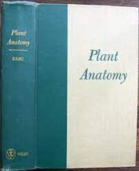 Plant anatomy