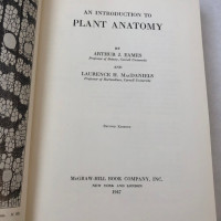 An introduction to plant anatomy second edition