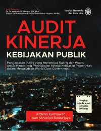 Audit Kinerja Kebijakan Publik