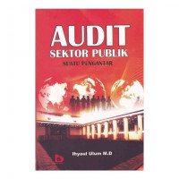 Audit sektor Publik