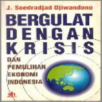 Bergulat dengan krisis dan pemulihan ekonomi Indonesia