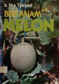 Bertanam melon