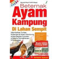 Beternak ayam kampung di lahan sempit