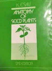 Anatomy of seed plants