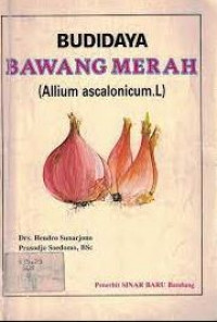 Budidaya bawang merah