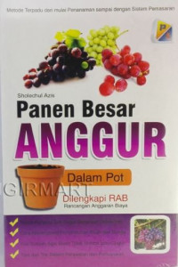 Panen Besar Anggur Dalam Pot