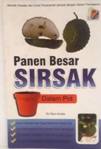 Panen Besar Sirsak Dalam Pot