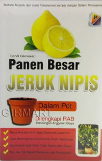 Panen Besar Jeruk Nipis  Dalam Pot