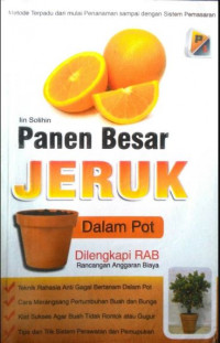 Panen Besar Jeruk Dalam Pot