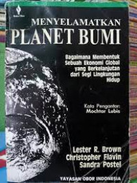 Menyelamatkan planet bumi: bagaimana membentuk sebuah ekonomi global yang berkelanjutan dari segi lingkungan hidup