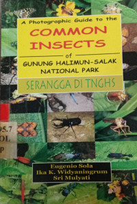 A photographic guide to the common insects of gunung halimun-salak national park serangga di tnghs