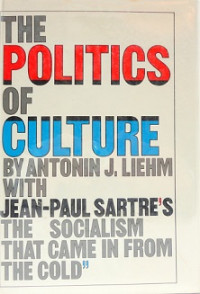 The Politics of Culture