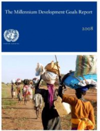 The millennium development goals report 2008