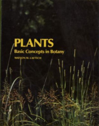 Plants : basic concepts in botany