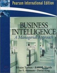 Business intelligence : a managerial approach