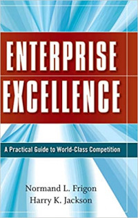 Enterprise excellence: a practical guide to world class competition