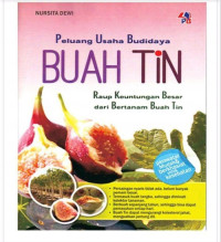 Peluang usaha budidaya buah tin : raup keuntungan besar dari bertanam buah tin