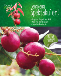 Image of Lengkeng Spektakuler