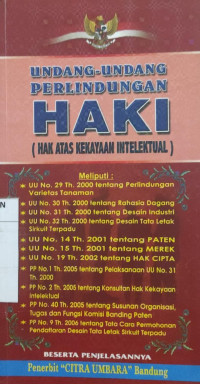 Undang-undang perlindungan haki (hak atas kekayaan intelektual)