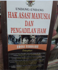 Undang-undang hak asasi manusia dan pengadilan ham