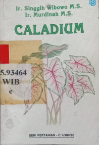 Caladium