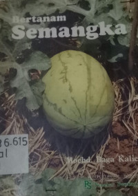 Bertanam semangka