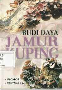 Budi daya jamur kuping