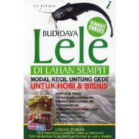 Budidaya lele di lahan sempit