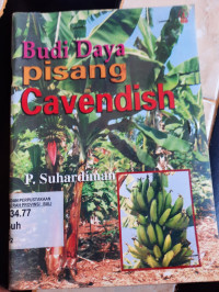 Budidaya Pisang Cavendish