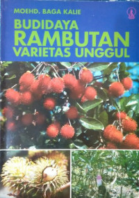 Budidaya Rambutan Varietas Unggul