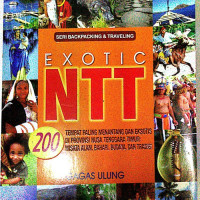 Exotic NTT