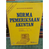 Norma pemeriksaan akuntan