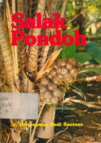 Salak Pondoh