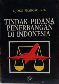 TIndak pidana penerbangan di Indonesia