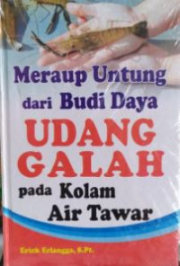 Meraup untung dari budi daya udang galang pada kolam air tawar