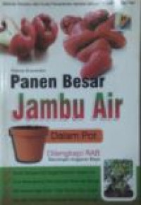 Panen besar jambu air dalam pot