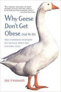 Why geese don't get obese (and we do)