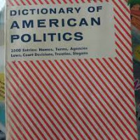 Dictionary american politics