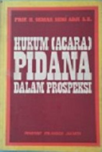 Hukum (acara) pidana dalam prospeksi