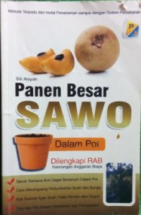 Panen Besar Sawo Dalam Pot