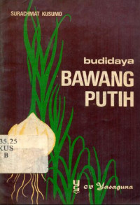 Budidaya Bawang Putih