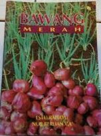 Bawang Merah