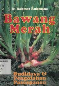 Bawang Merah